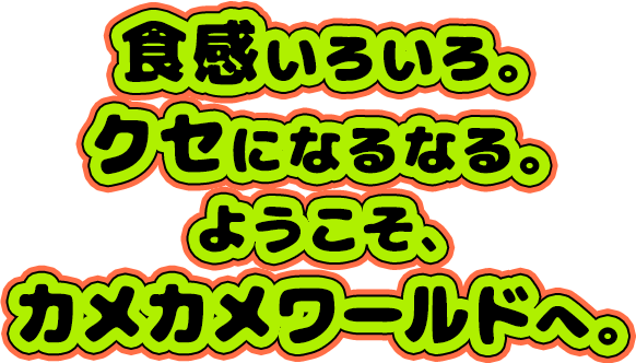 食感いろいろ。クセになるなる。ようこそ、カメカメワールドへ。